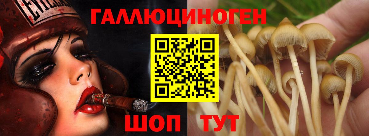 Псилоцибиновые грибы мухоморы  Галлюциногенные грибы ЛСД  Асино  Вход с VPN 